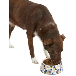Frisco Colorful Geometric Melamine Bowl 12 Frisco Colorful Geometric Melamine Bowl -Pet Dog Supplies Shop 216054 PT6. AC SS1800 V1605658026