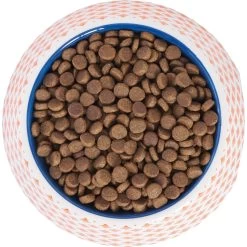 Frisco Southwest Melamine Bowl 11 Frisco Southwest Melamine Bowl -Pet Dog Supplies Shop 216064 PT4. AC SS1800 V1591021009