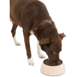 Frisco Southwest Melamine Bowl 12 Frisco Southwest Melamine Bowl -Pet Dog Supplies Shop 216064 PT6. AC SS1800 V1605652321