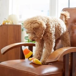 Frisco Halloween Candy Corn Plush Squeaky Dog Toy -Pet Dog Supplies Shop 218619 PT6. AC SS1800 V1597599676