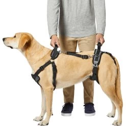 Frisco Front & Rear Lift Handicapped Support Dog Harness 9 Frisco Front & Rear Lift Handicapped Support Dog Harness -Pet Dog Supplies Shop 220372 PT5. AC SS1800 V1605749597