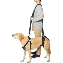 Frisco Front & Rear Lift Handicapped Support Dog Harness 10 Frisco Front & Rear Lift Handicapped Support Dog Harness -Pet Dog Supplies Shop 220372 PT6. AC SS1800 V1605758261