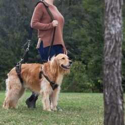 Frisco Front & Rear Lift Handicapped Support Dog Harness 11 Frisco Front & Rear Lift Handicapped Support Dog Harness -Pet Dog Supplies Shop 220372 PT7. AC SS1800 V1605738439