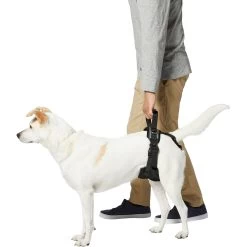 Frisco Rear Lift Handicapped Support Dog Harness -Pet Dog Supplies Shop 220374 PT5. AC SS1800 V1605743213
