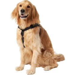 Frisco Nylon Step In Back Clip Dog Harness -Pet Dog Supplies Shop 220519 PT2. AC SS1800 V1605591714