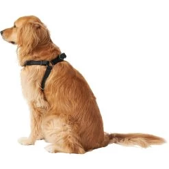 Frisco Nylon Step In Back Clip Dog Harness -Pet Dog Supplies Shop 220519 PT3. AC SS1800 V1605593555