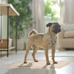 Frisco Large Eco-Conscious Dog Training & Potty Pads -Pet Dog Supplies Shop 227438 PT6. AC SS1800 V1674665619