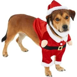 Frisco Front Walking Santa Dog & Cat Costume, 1 Count -Pet Dog Supplies Shop 228785 PT3. AC SS1800 V1631300866