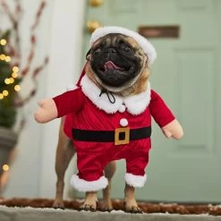 Frisco Front Walking Santa Dog & Cat Costume, 1 Count -Pet Dog Supplies Shop 228785 PT7. AC SS1800 V1601560869
