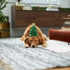 Frisco Christmas Tree LED Dog & Cat Headpiece -Pet Dog Supplies Shop 229051 PT7. AC SS1800 V1601648765