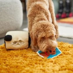 Frisco Retro Camera 2-in-1 Rip For Surprise Plush Squeaky Dog Toy -Pet Dog Supplies Shop 230306 PT3. AC SS1800 V1602639779