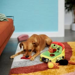 Frisco Retro Smack-a-Squirrel Hide & Seek Puzzle Plush Squeaky Dog Toy -Pet Dog Supplies Shop 230313 PT3. AC SS1800 V1601947334