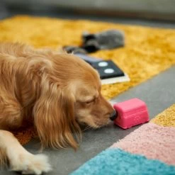 Frisco Retro Funky Van TPE Treat Dispenser Dog Toy, Medium/Large 8 Frisco Retro Funky Van TPE Treat Dispenser Dog Toy, Medium/Large -Pet Dog Supplies Shop 230383 PT4. AC SS1800 V1669908614