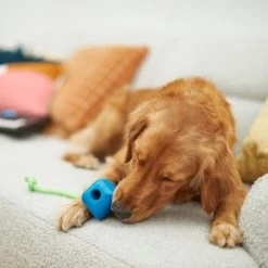 Frisco Retro PC Mouse Rubber Tug & Fetch Dog Toy -Pet Dog Supplies Shop 230385 PT3. AC SS1800 V1606953426