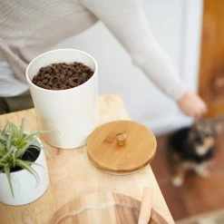 Frisco Melamine Dog & Cat Treat Jar With Bamboo Lid 9 Frisco Melamine Dog & Cat Treat Jar With Bamboo Lid -Pet Dog Supplies Shop 232068 PT8. AC SS1800 V1605738445