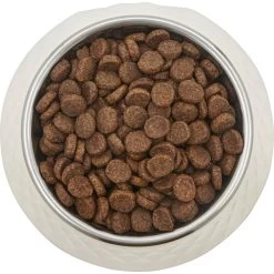 Frisco Hammered Melamine Stainless Steel Dog Bowl 9 Frisco Hammered Melamine Stainless Steel Dog Bowl -Pet Dog Supplies Shop 232083 PT3. AC SS1800 V1609885089