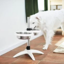 Frisco Adjustable Stainless Steel Double Elevated Dog Bowls 13 Frisco Adjustable Stainless Steel Double Elevated Dog Bowls -Pet Dog Supplies Shop 232097 PT8. AC SS1800 V1605740511