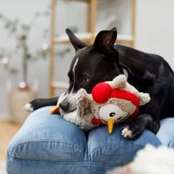 Frisco Holiday Owl Plush Squeaky Dog Toy -Pet Dog Supplies Shop 233160 PT2. AC SS1800 V1601304724