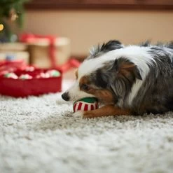 Frisco Holiday Wreath Fetch Squeaky Tennis Ball Dog Toy 10 Frisco Holiday Wreath Fetch Squeaky Tennis Ball Dog Toy -Pet Dog Supplies Shop 233189 PT3. AC SS1800 V1665759769