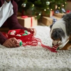 Frisco Holiday Wreath Fetch Squeaky Tennis Ball Dog Toy 11 Frisco Holiday Wreath Fetch Squeaky Tennis Ball Dog Toy -Pet Dog Supplies Shop 233189 PT5. AC SS1800 V1601919657