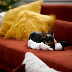 Frisco Holiday Snowman Bungee Plush Squeaky Dog Toy -Pet Dog Supplies Shop 233221 PT3. AC SS1800 V1695648147