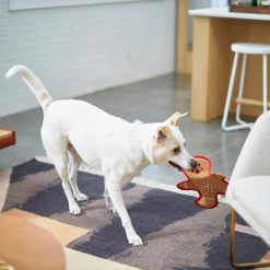 Frisco Holiday Gingerbread Man Flat Plush Squeaky Dog Toy -Pet Dog Supplies Shop 233241 PT2. AC SS1800 V1601311903