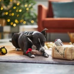 Frisco Holiday Fragile Box Hide & Seek Puzzle Plush Squeaky Dog Toy -Pet Dog Supplies Shop 233274 PT4. AC SS1800 V1665759767