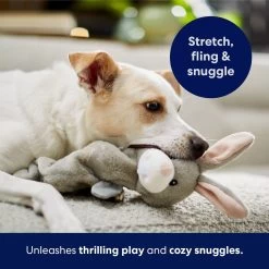 Frisco Bunny Bungee Plush Squeaky Dog Toy -Pet Dog Supplies Shop 233612 PT5. AC SS1800 V1691783971