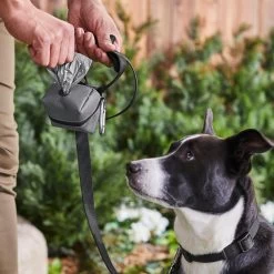 Frisco Large Size Dog Poop Bags With Fabric Dispenser 13 Frisco Large Size Dog Poop Bags With Fabric Dispenser -Pet Dog Supplies Shop 237013 PT6. AC SS1800 V1610762789