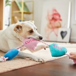 Frisco Valentine Candy Hearts Plush With Rope Squeaky Dog Toy -Pet Dog Supplies Shop 241725 PT6. AC SS1800 V1607989337