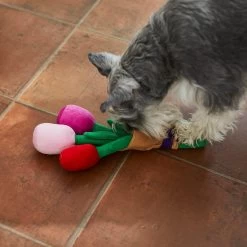 Frisco Valentine Rose Bouquet Plush Squeaky Dog Toy -Pet Dog Supplies Shop 241733 PT6. AC SS1800 V1607990908