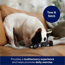 Frisco Zoomies & Chill Remote Latex Squeaky Dog Toy -Pet Dog Supplies Shop 241753 PT6. AC SS1800 V1686580150