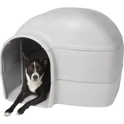 Frisco Dome Dog House -Pet Dog Supplies Shop 241900 PT2. AC SS1800 V1602884184
