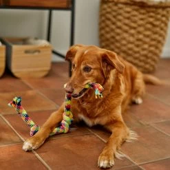 Frisco 4-Knot Tri-Color Rope Dog Toy -Pet Dog Supplies Shop 242139 PT2. AC SS1800 V1605208764