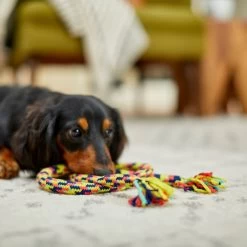 Frisco Pretzel Rope Dog Toy 5 Frisco Pretzel Rope Dog Toy -Pet Dog Supplies Shop 242141 PT2. AC SS1800 V1605208795