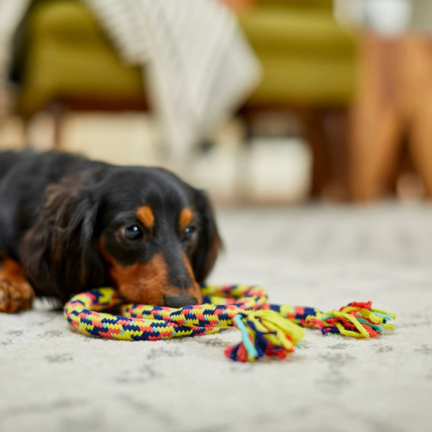 Frisco Pretzel Rope Dog Toy 3 Frisco Pretzel Rope Dog Toy - Image 3