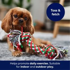 Frisco Double Knot Tri-Color Rope Fetch Dog Toy 6 Frisco Double Knot Tri-Color Rope Fetch Dog Toy -Pet Dog Supplies Shop 242149 PT3. AC SS1800 V1695241915