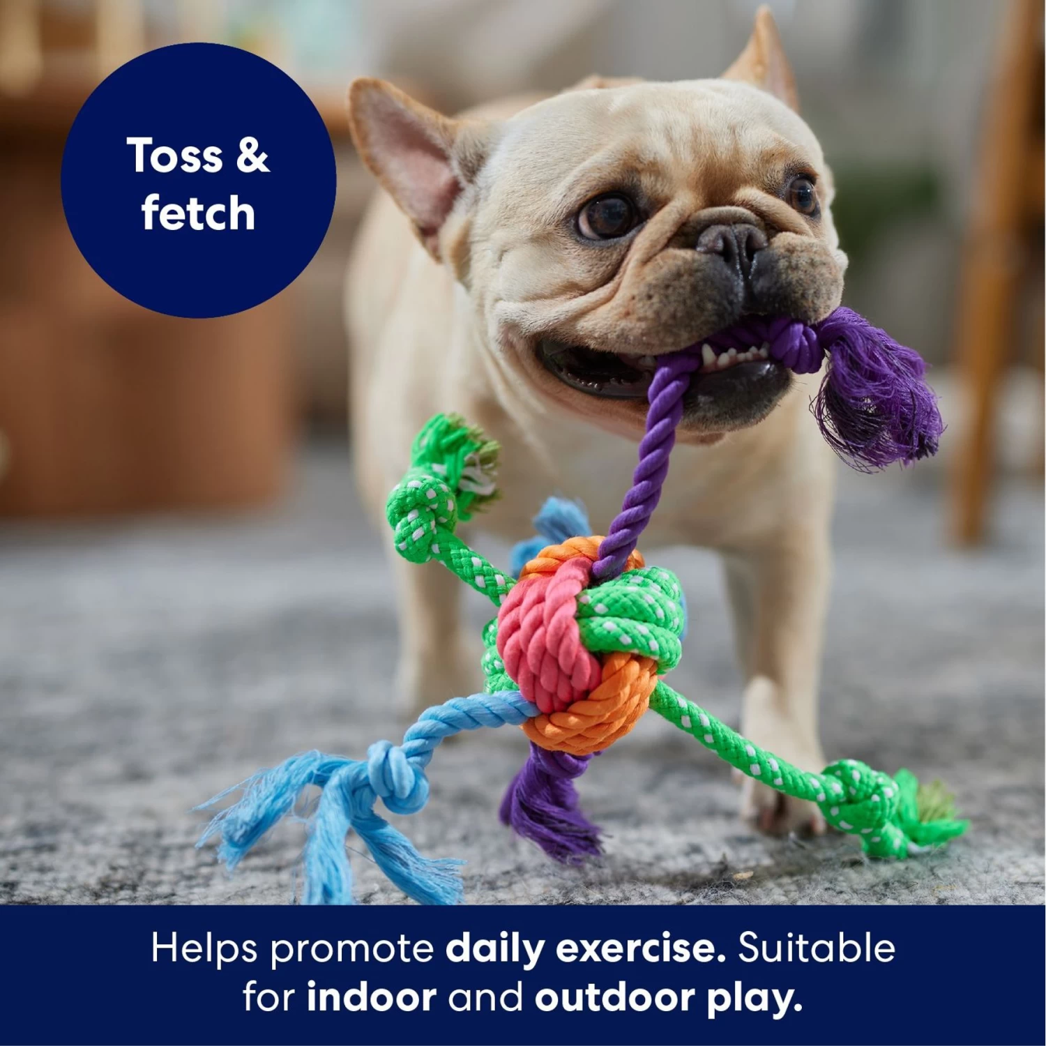 Frisco Fetch Colorful Ball Knot Rope Dog Toy 3 Frisco Fetch Colorful Ball Knot Rope Dog Toy - Image 3