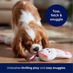 Frisco Bunny Plush Squeaky Puppy Toy 8 Frisco Bunny Plush Squeaky Puppy Toy -Pet Dog Supplies Shop 245916 PT3. AC SS1800 V1695760959