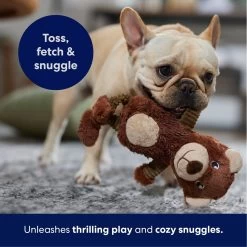 Frisco Bear Plush Squeaky Dog Toy 10 Frisco Bear Plush Squeaky Dog Toy -Pet Dog Supplies Shop 245924 PT4. AC SS1800 V1695760929