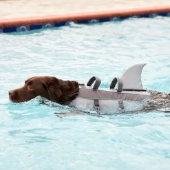 Frisco Shark Dog Life Jacket 17 Frisco Shark Dog Life Jacket -Pet Dog Supplies Shop 247887 PT8. AC SS1800 V1616505957