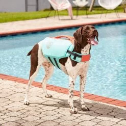 Frisco Active Dog Life Jacket -Pet Dog Supplies Shop 247894 PT7. AC SS1800 V1616506092