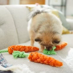 Frisco Easter Carrot Plush With Rope Dog Toy -Pet Dog Supplies Shop 248023 PT5. AC SS1800 V1608769360