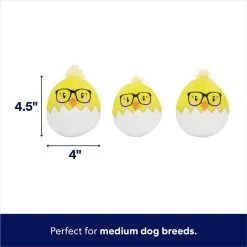 Frisco Spring Easter Egg Hide & Seek Plush Squeaky Dog Toy -Pet Dog Supplies Shop 248037 PT2. AC SS1800 V1700243718