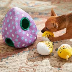 Frisco Spring Easter Egg Hide & Seek Plush Squeaky Dog Toy -Pet Dog Supplies Shop 248037 PT5. AC SS1800 V1608763654