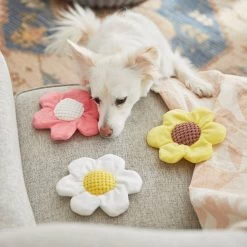 Frisco Easter Spring Flowers Plush Dog Toy -Pet Dog Supplies Shop 248043 PT5. AC SS1800 V1608769957