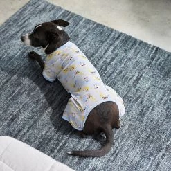 Frisco Sleepy Sloths Dog & Cat Jersey PJs -Pet Dog Supplies Shop 249144 PT7. AC SS1800 V1614369158
