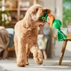 Frisco St. Patrick's Leprechaun Plush With Tennis Ball Squeaky Dog Toy 8 Frisco St. Patrick's Leprechaun Plush With Tennis Ball Squeaky Dog Toy -Pet Dog Supplies Shop 249472 PT4. AC SS1800 V1700163040