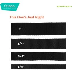 Frisco Solid Nylon Personalized Martingale Dog Collar -Pet Dog Supplies Shop 249561 PT4. AC SS1800 V1628876638