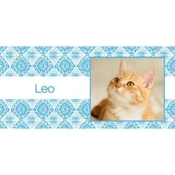 Frisco Double Walled Boho Damask Personalized Tumbler, 30-oz Cup 7 Frisco Double Walled Boho Damask Personalized Tumbler, 30-oz Cup -Pet Dog Supplies Shop 250749 PT2. AC SS1800 V1606680445